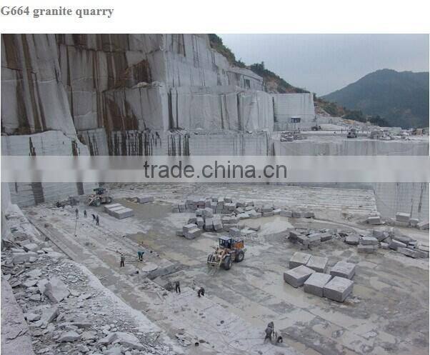 Lowest Price g664 paving stones