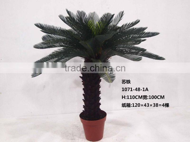 1071-32 plastic pot cycads tree