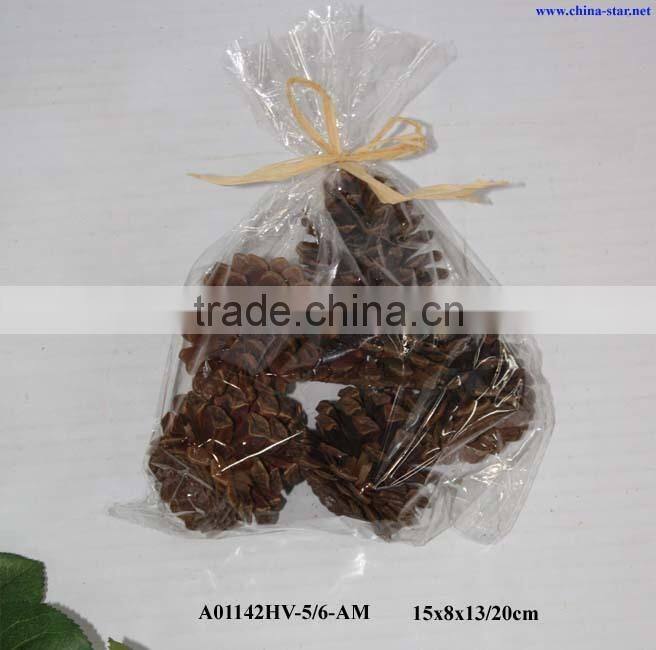 nature pinecones with or without glitter