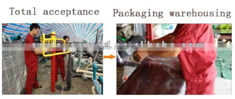 Hot Popular Sale China Fitness Equipment Roller(HA-12506)