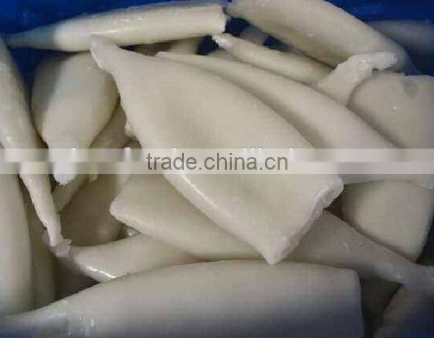 seafood frozen squid tube U10
