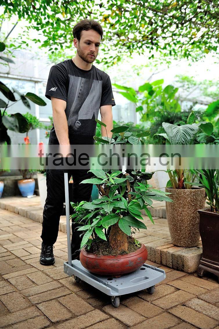 80kgs Plastic Luggage Hand Lift trolley