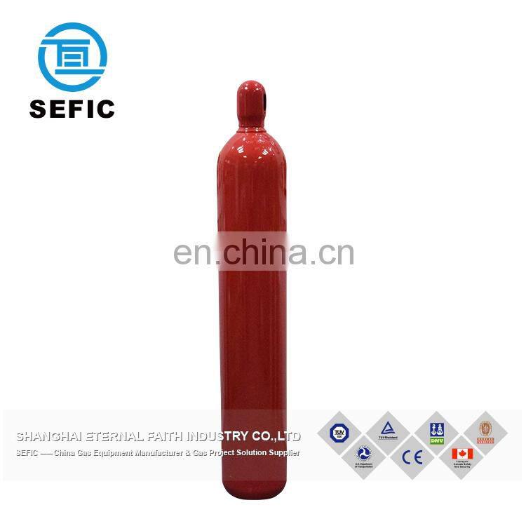 Refillable Colorful Stainless CO2/Argon Gas Empty Steel Cylinder