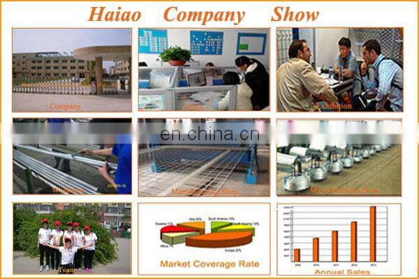 SGS standard high security concertina razor electric fence hot sale