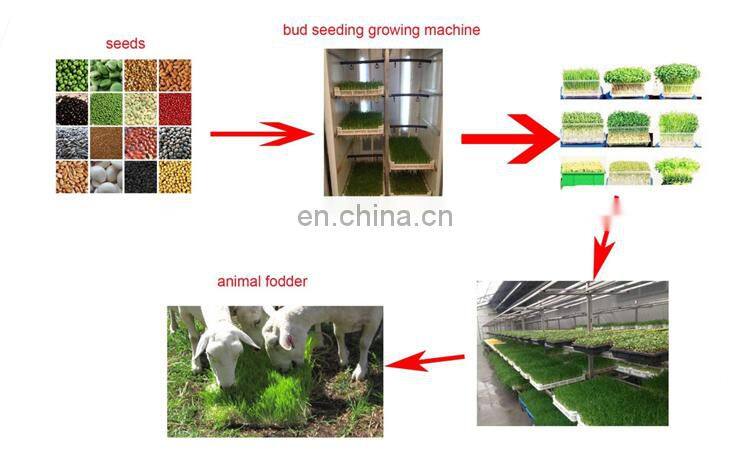 OrangeMech Automatic hydroponic germination machine seed germination chamber