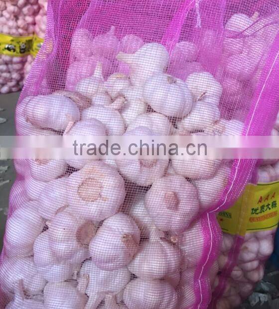 China garlic pric