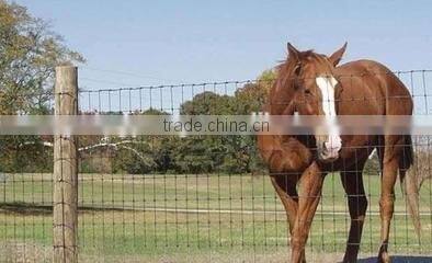 XP Powder Coated High Strengthen Farm Field Fence