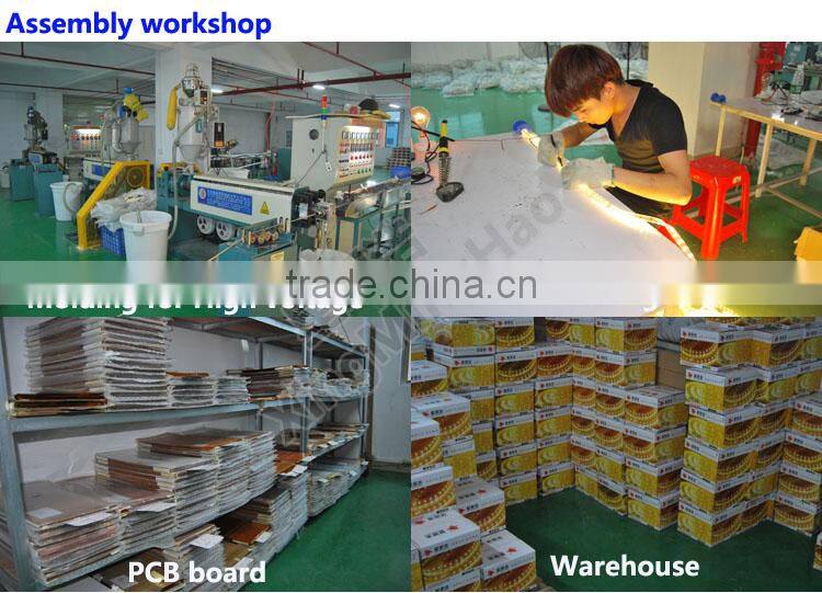 chinese factories supplier LED ribbon and solar led lights for car