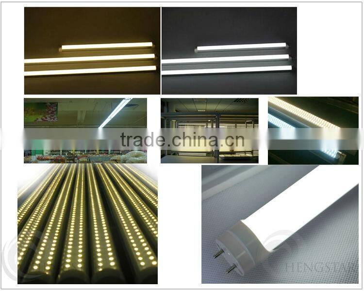 4ft T8 led tube light led zoo animal video tube