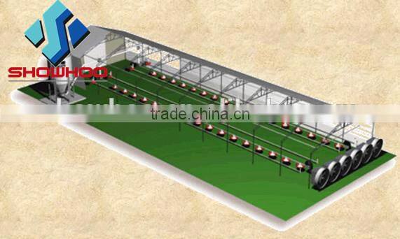 cheap chicken poultry shed