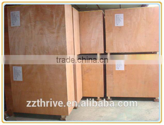 leaf vegetable carrot onion potato brush washing machine