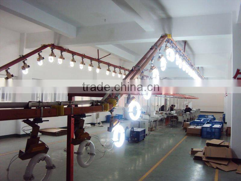 ceiling down light fixture