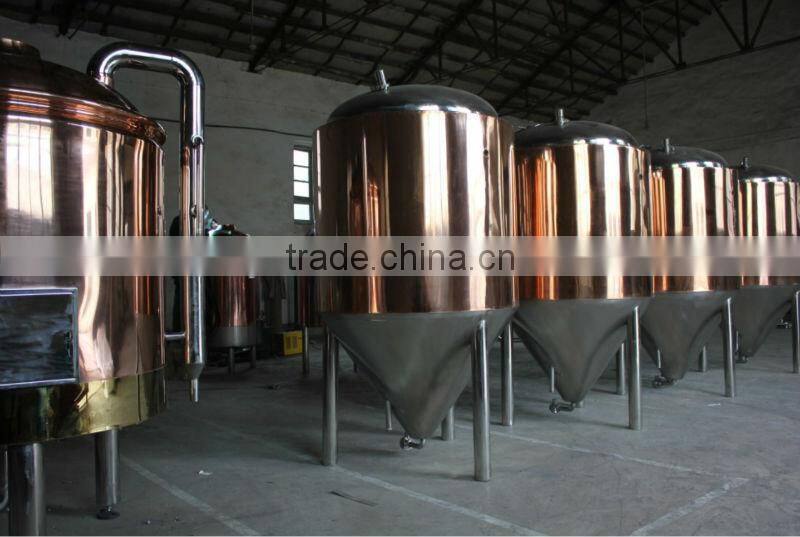 500L stainless steel beer fermenters tanks