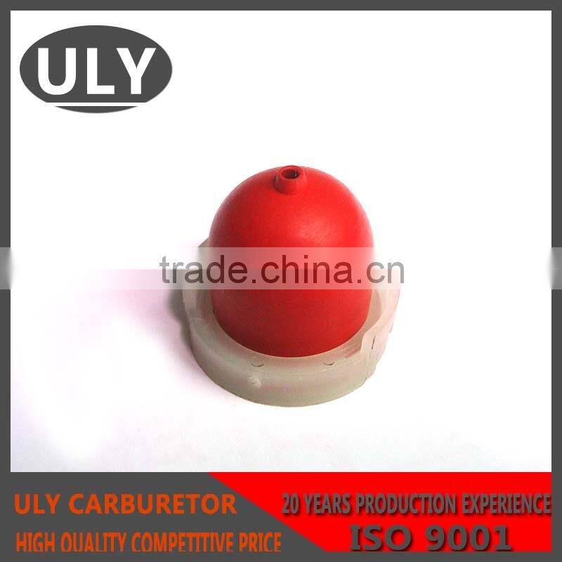 Briggs & Stratton Oil Vacuole