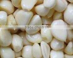 Pure White Garlic