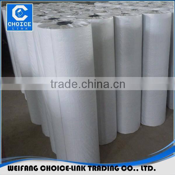 Polyester fabric composite PE waterproofing membrane