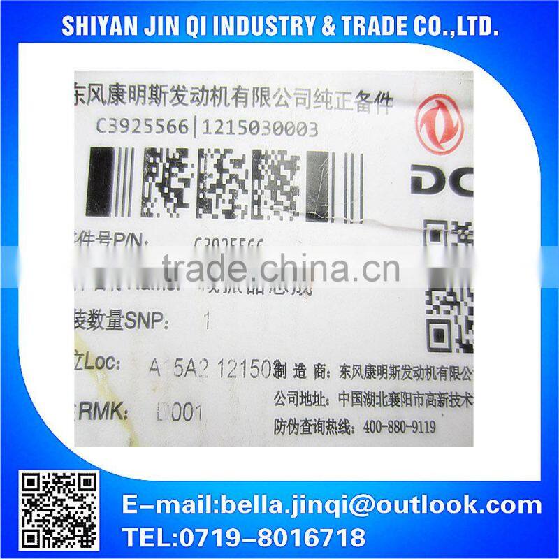 High Performance 6CT Crankshaft Vibration Damper 3925566 for Cumins Diesel Engine Parts