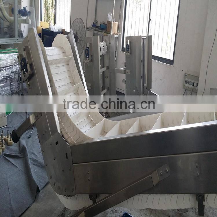 PP Conveyor Belt Conveyor