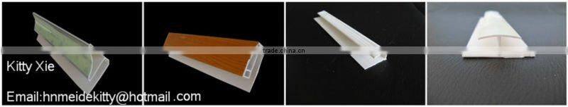 plastic wall panel for interior decoration