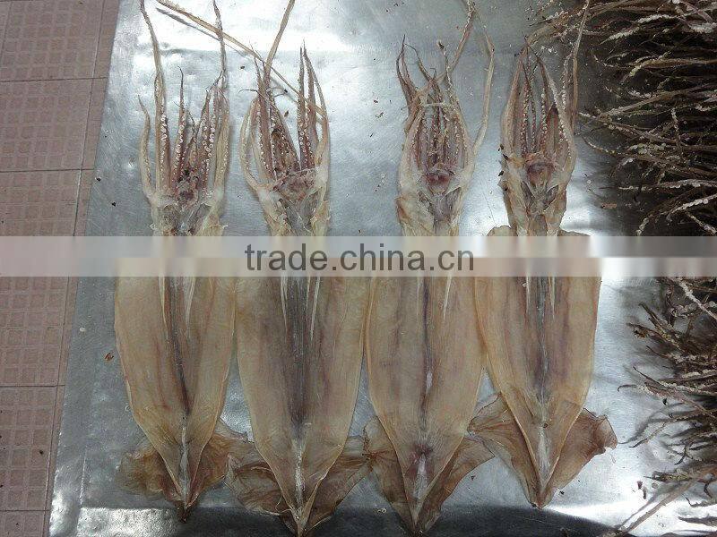 dried squid