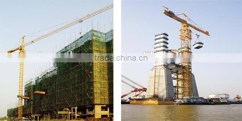 8 ton self-raising luffing tower crane QTD300
