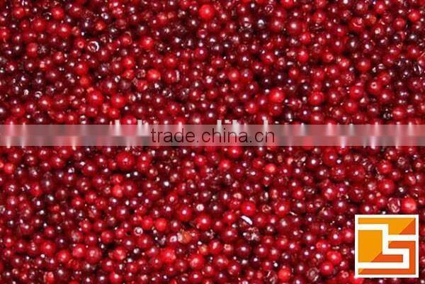 Lingonberry anthocyanidins plant extract