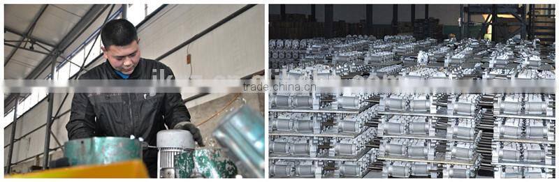 Small Electric Cable Pulley Hoist