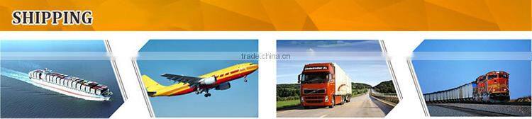 Amusement park facility riding and roaring dinosaur