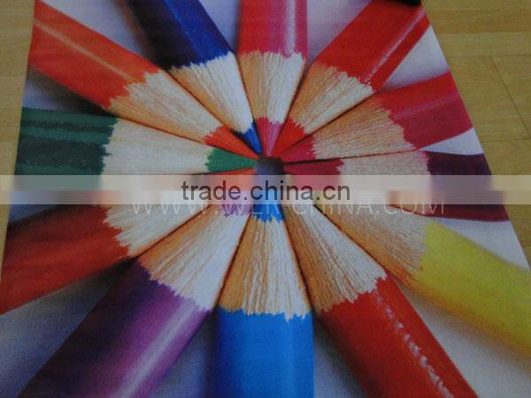 Hot Selling 3.2m WER S3208 printing machine, Large Format Solvent Printer