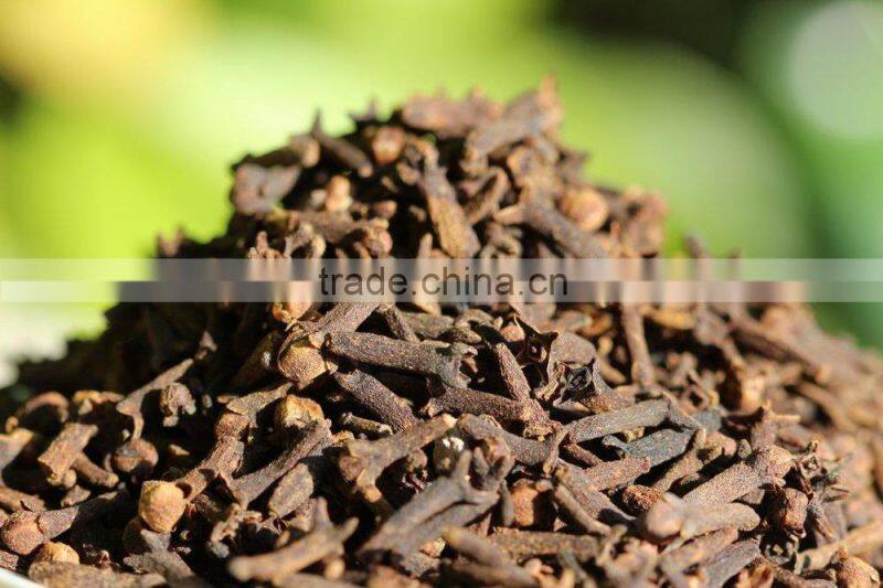 SUPPLY CLOVES SPICES (Call: +84 1687264621)