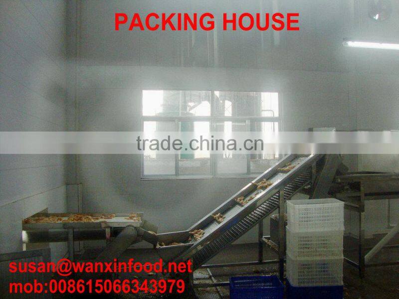 SWEET AND SOUR TASTE SUSHI GINGER FROM CHINA