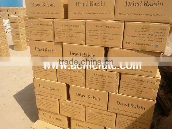 best price red raisin from China