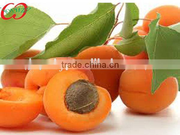 Canned Food,Canned Fruit and Vegetable, Canned Apricots in Light Syrup