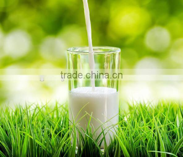 High quality automatic milk dispenser machine on sale