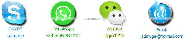 Pig automatic water level controller