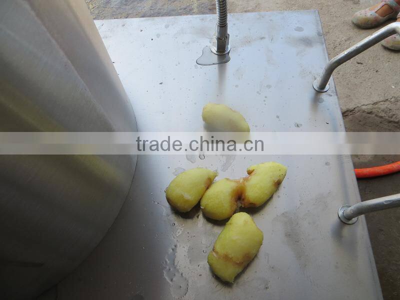 junlan machinery 450 model stainless steel potato ginger peeling machine +8618637188608