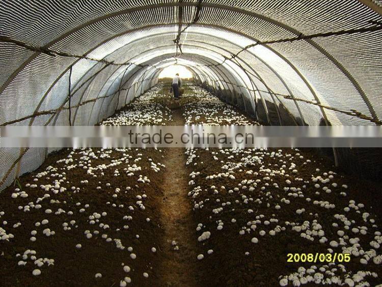 Professional mushroom greenhouse pe surface protective film