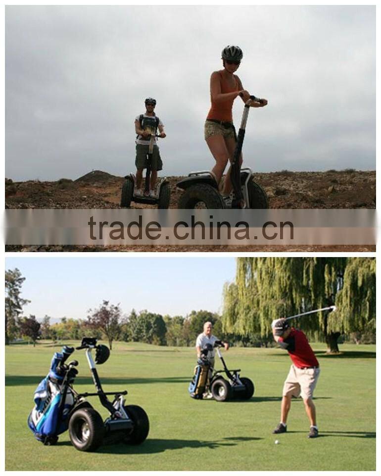 Leadway 10inch 2 wheel balance adult electric scooter