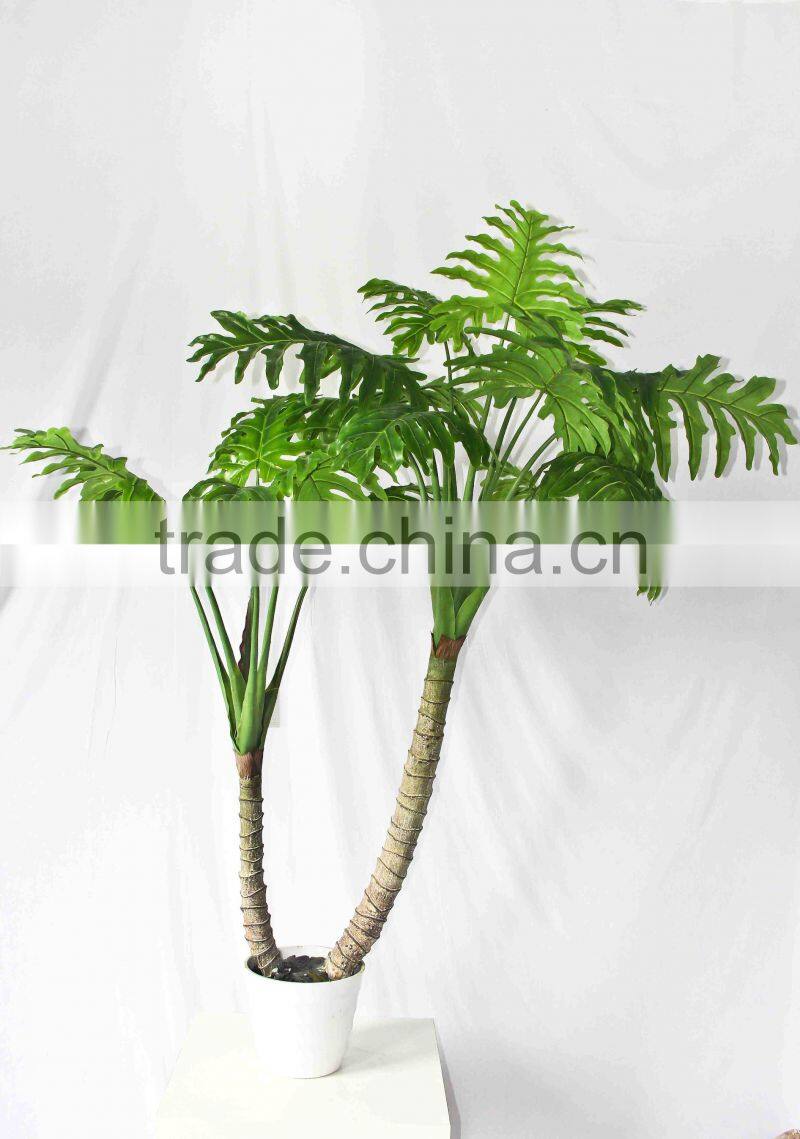 Oramental green bonsais