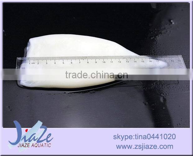 frozen squid tube/giant squid/illex squid/loligo squid