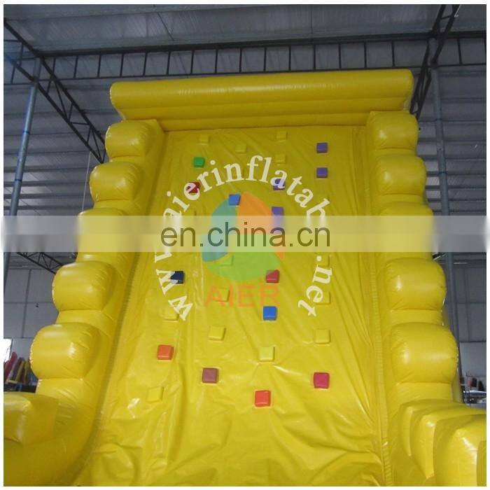 Top selling Inflatable bouncer New Inflatable wall climbing