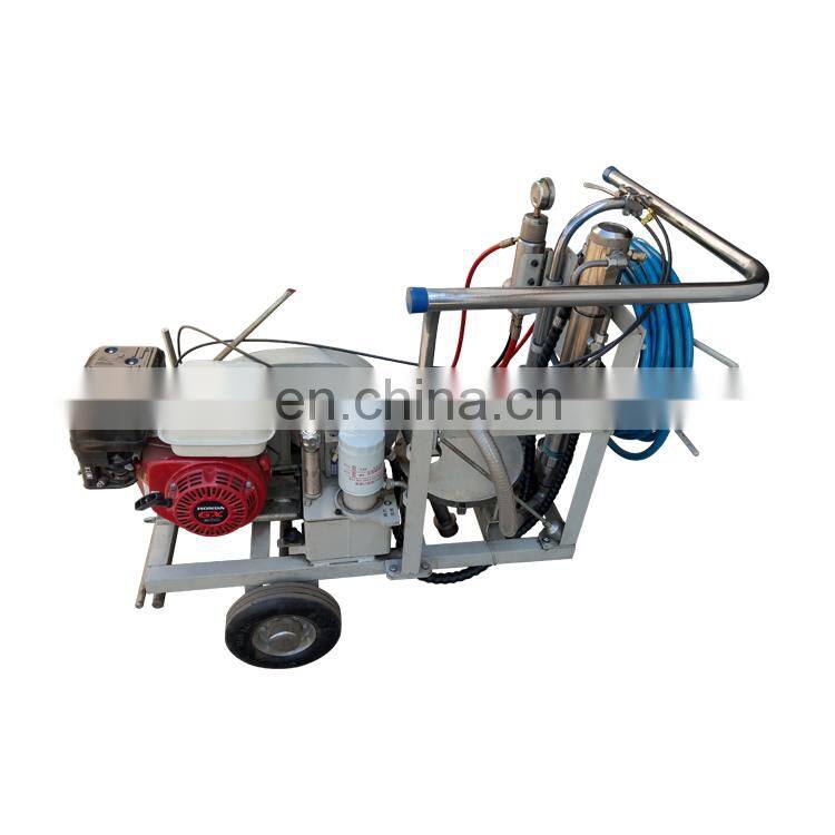 New Design Hand Push Cold Paint Spraying Marking Machine For Road