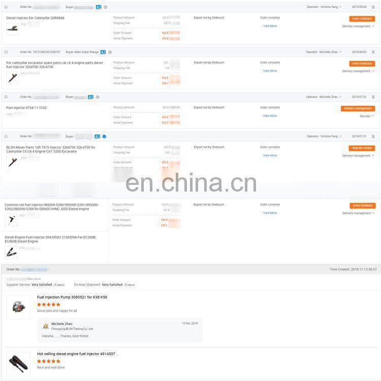 BLSH Mechanical engine parts 4bt/6ct/m11/k19/k38/isbe/qsb/nt855/n14 Injector 4928347