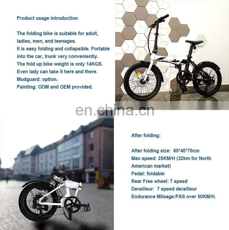 BEBHM20CM EU Hot Sale 20 Inch 36V 350W Elektrofahrrad Folding Electric Bike with Hidden Lithium Battery, E-bicycle