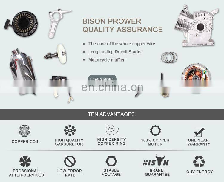 BISON(CHINA) Portable 2KW BS2500 Portable Gasoline Generator