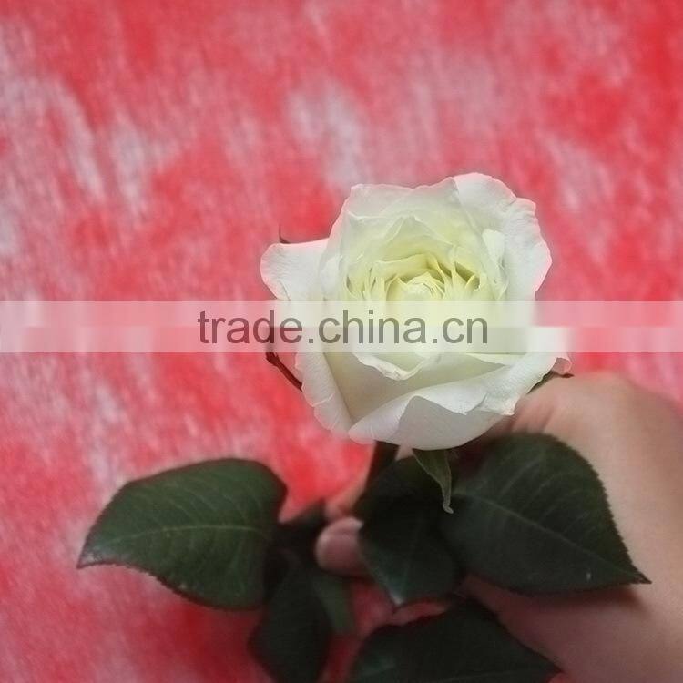 Durable Tineke white rose balls wedding