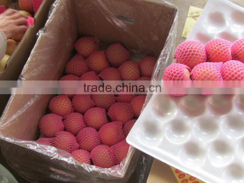 Nice fuji apple from China on sale for Bangladesh market