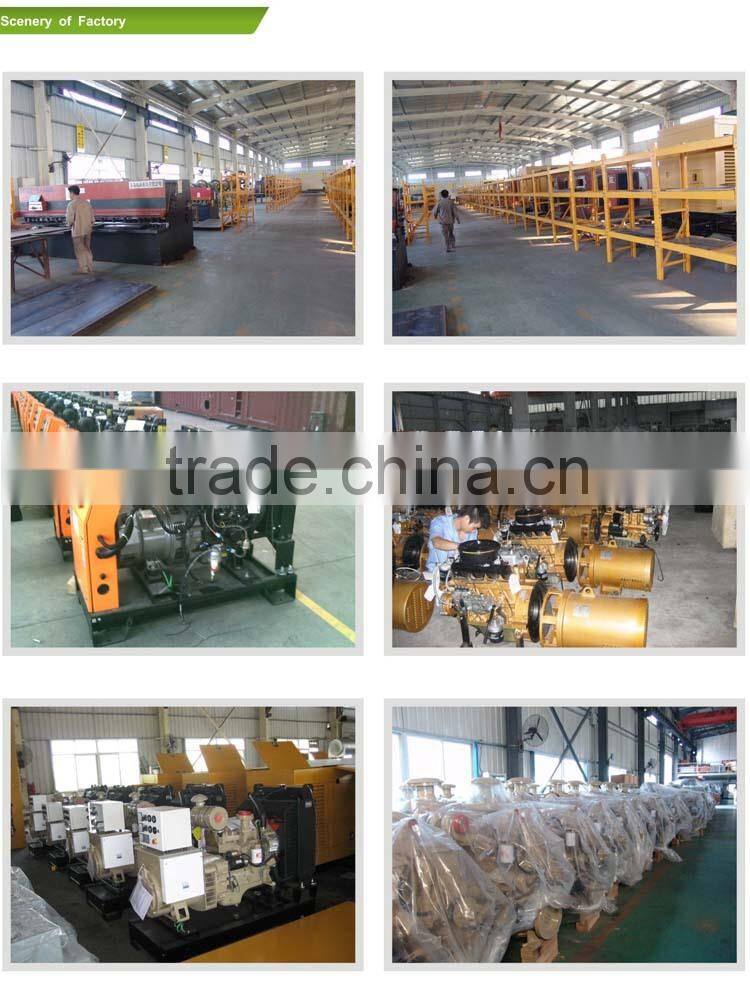 300kva UK Motor Generator Set With brand engine China made