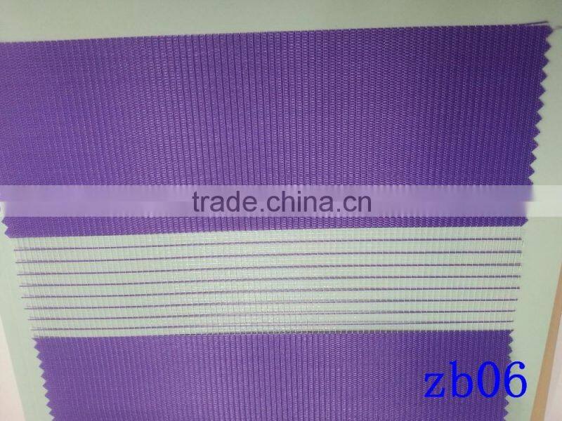 Double Layer Manural Zebra Blind For Living Room