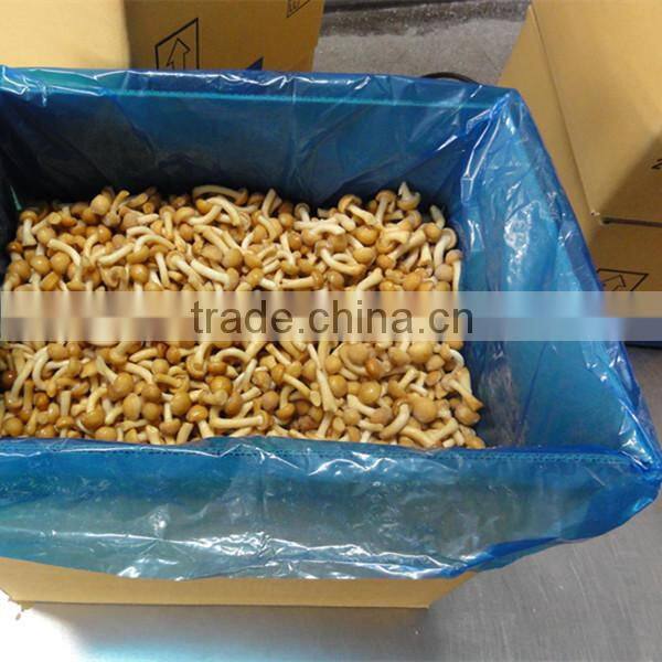High Quality Top Quality Frozen Fresh Nameko